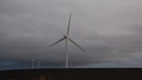 Job seekers looking to land a job in green technology should check out the following states that created the most clean-energy jobs during the first quarter of this year.